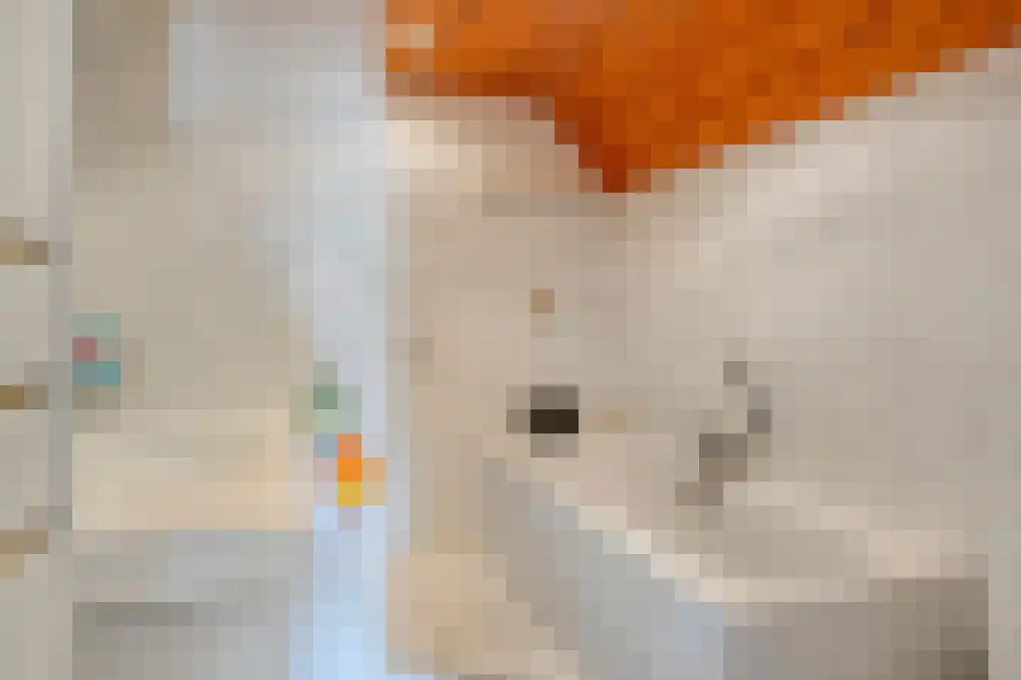 De Koningshof 72 Swifterbant thumbnail 18