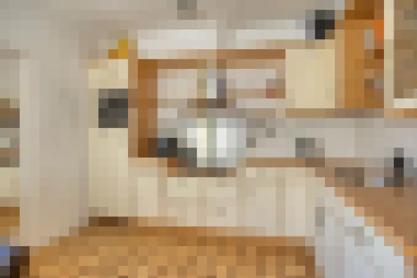 De Koningshof 72 Swifterbant thumbnail 4