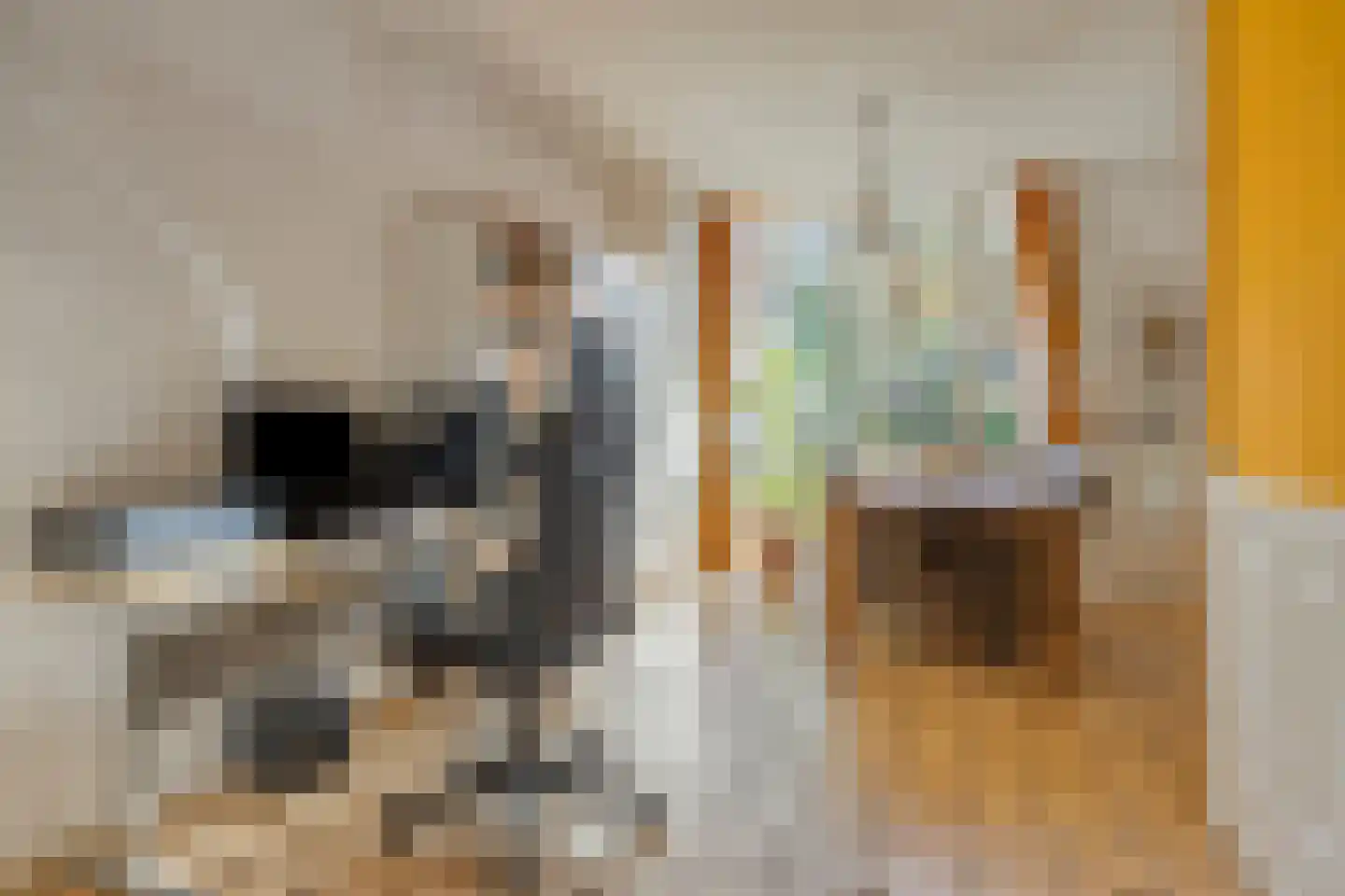 De Koningshof 72 Swifterbant thumbnail 6