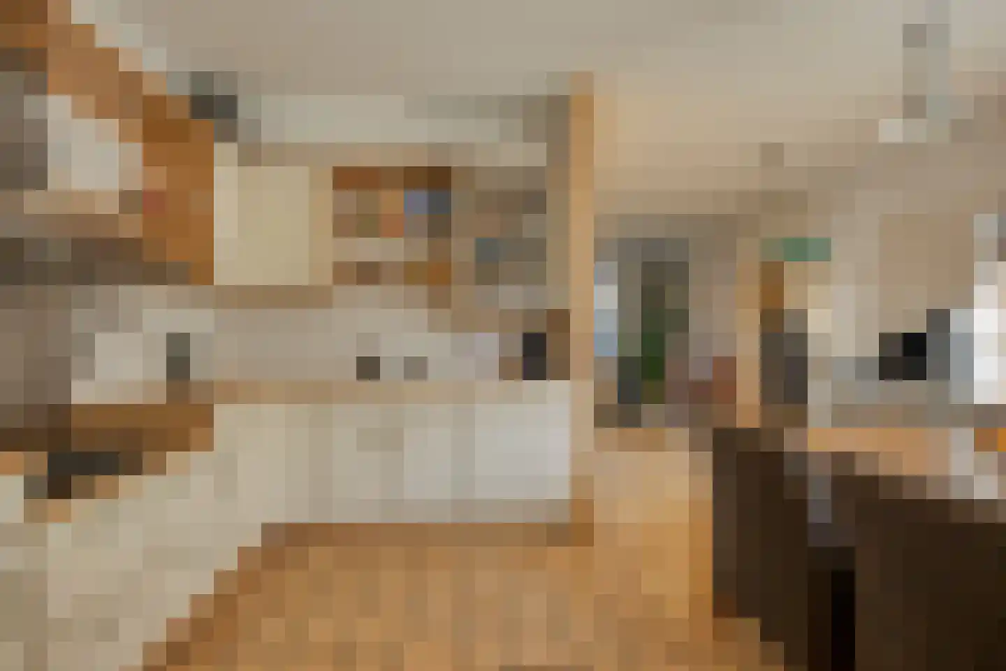 De Koningshof 72 Swifterbant thumbnail 9