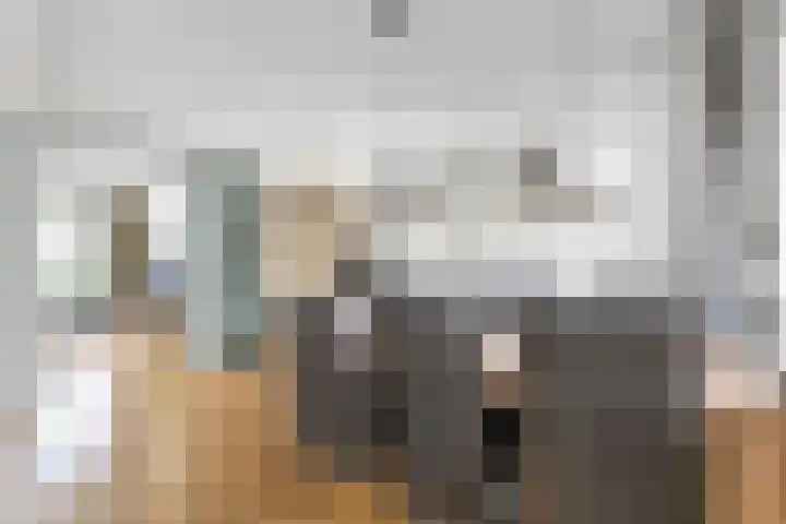 De Koningsvaren 100 Dedemsvaart thumbnail 13