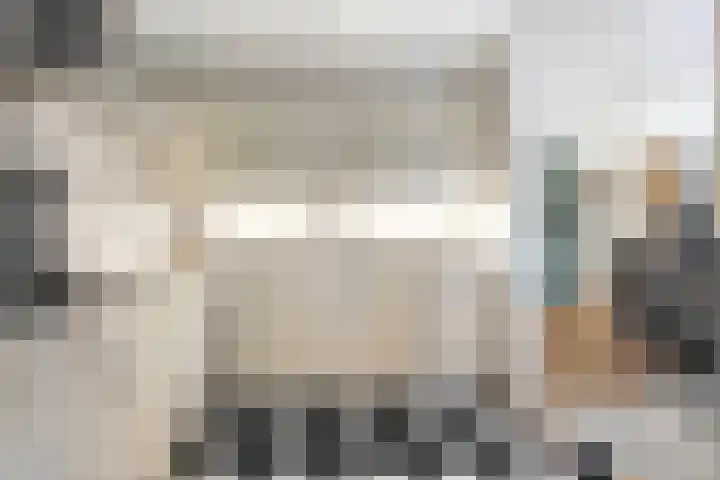 De Koningsvaren 100 Dedemsvaart thumbnail 14