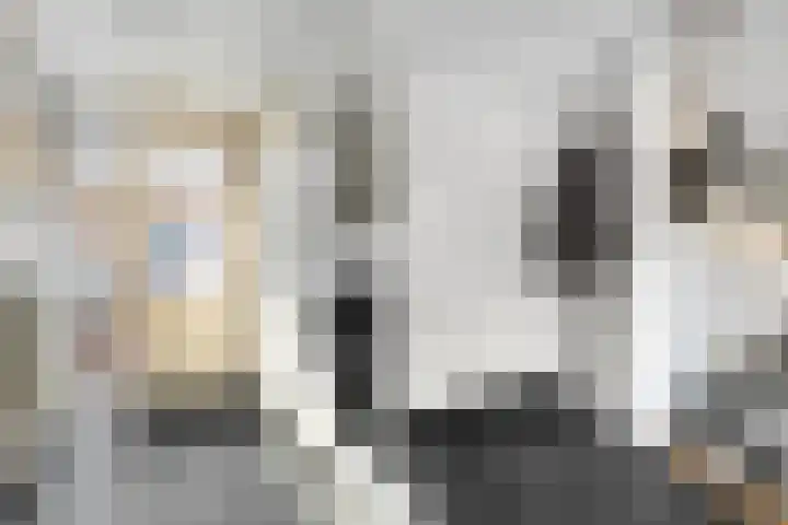 De Koningsvaren 100 Dedemsvaart thumbnail 16