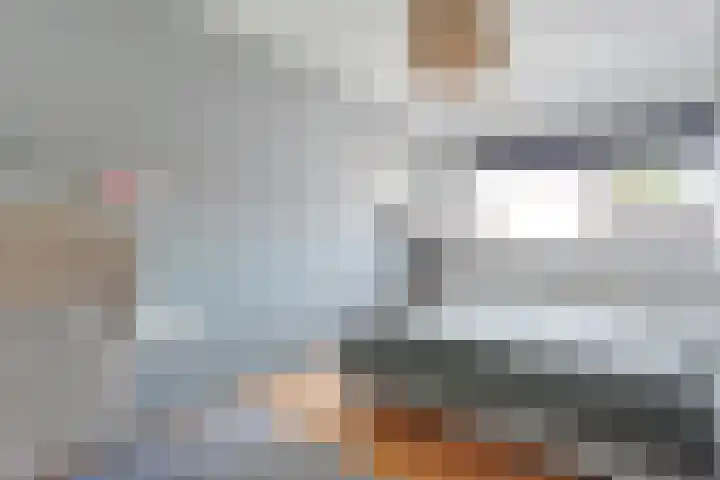 De Koningsvaren 100 Dedemsvaart thumbnail 18