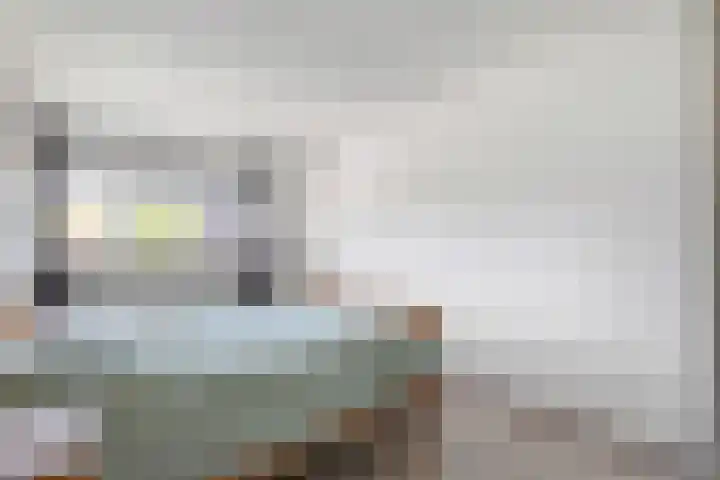 De Koningsvaren 100 Dedemsvaart thumbnail 20