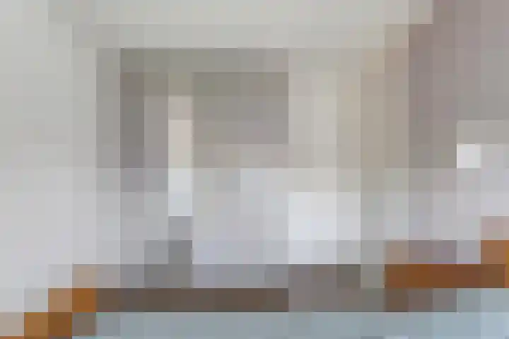 De Koningsvaren 100 Dedemsvaart thumbnail 21