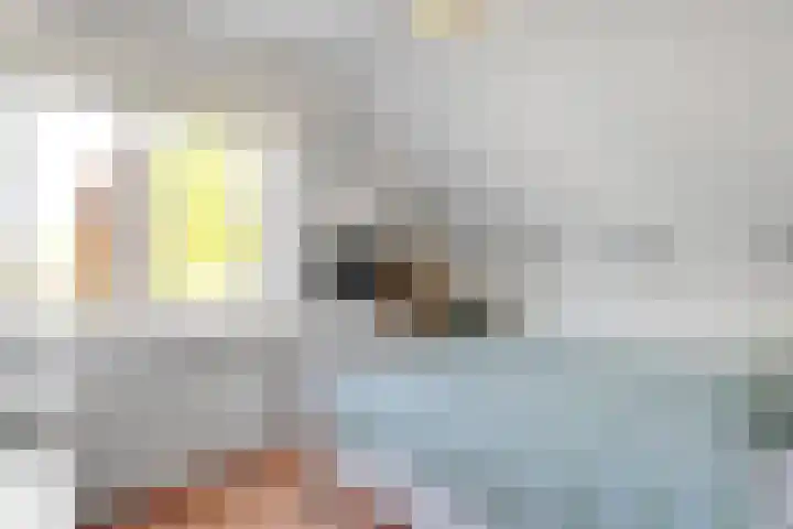 De Koningsvaren 100 Dedemsvaart thumbnail 22