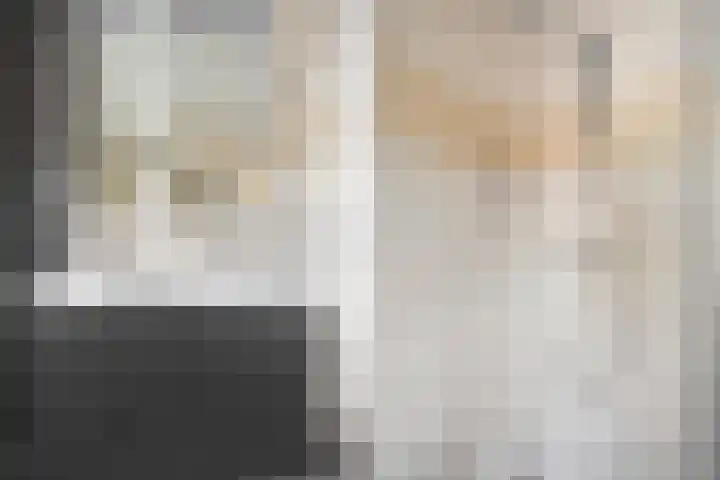 De Koningsvaren 100 Dedemsvaart thumbnail 24