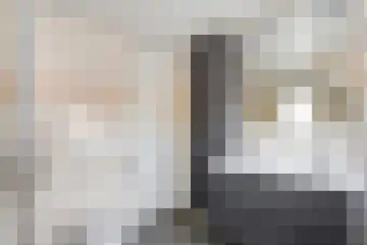 De Koningsvaren 100 Dedemsvaart thumbnail 25