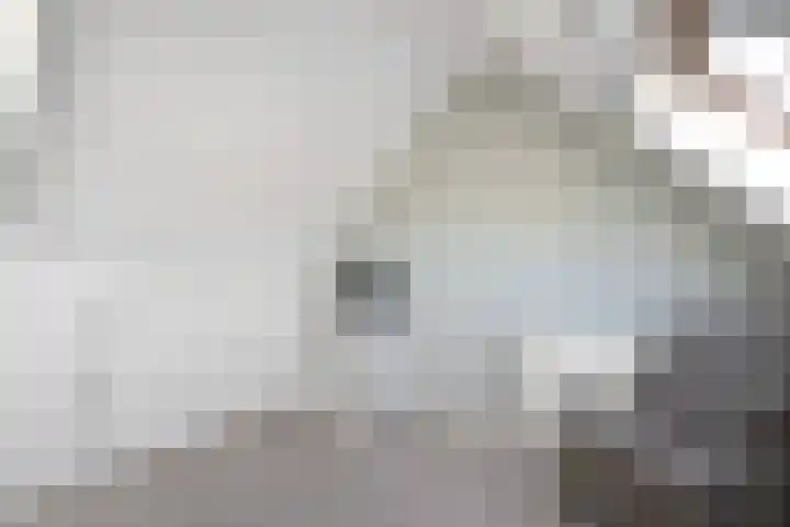 De Koningsvaren 100 Dedemsvaart thumbnail 27