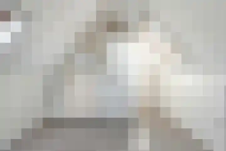 De Koningsvaren 100 Dedemsvaart thumbnail 28