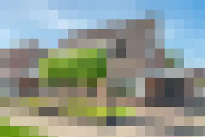 De Koningsvaren 100 Dedemsvaart foto 3