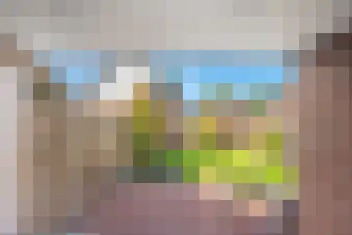 De Koningsvaren 100 Dedemsvaart thumbnail 30