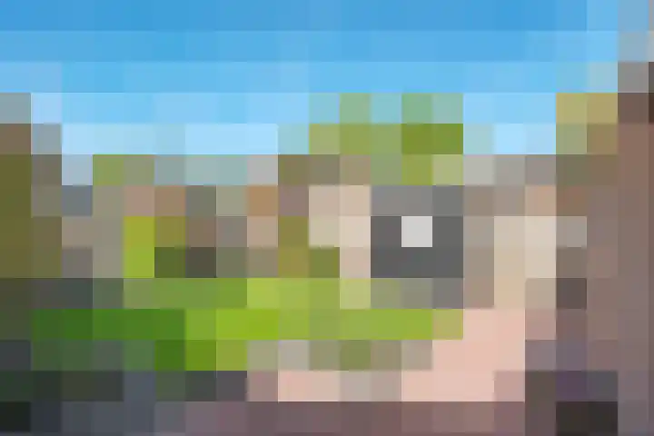 De Koningsvaren 100 Dedemsvaart thumbnail 31