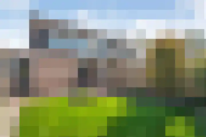 De Koningsvaren 100 Dedemsvaart thumbnail 33