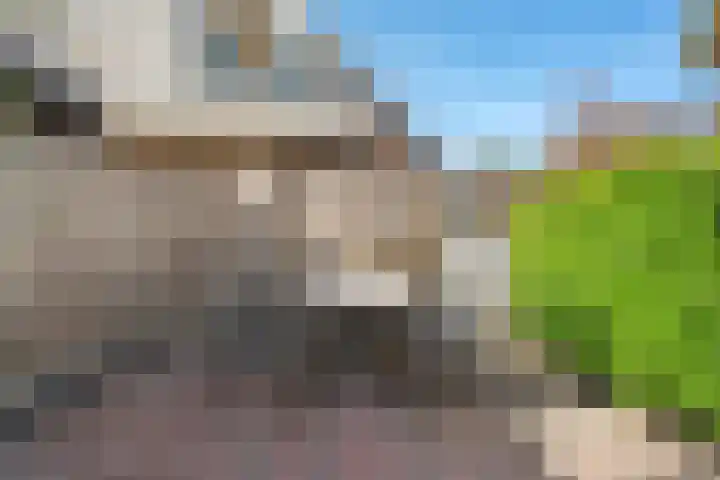 De Koningsvaren 100 Dedemsvaart thumbnail 34