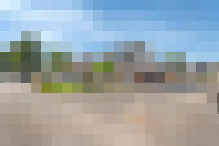 De Koningsvaren 100 Dedemsvaart thumbnail 36