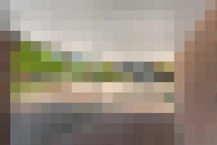 De Koningsvaren 100 Dedemsvaart thumbnail 4