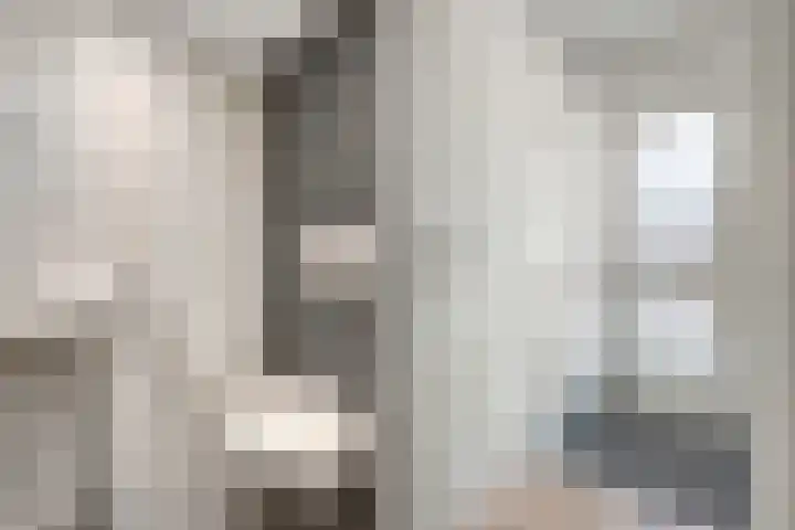De Koningsvaren 100 Dedemsvaart thumbnail 7