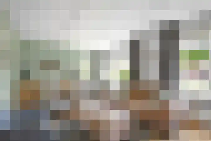 De Koningsvaren 100 Dedemsvaart thumbnail 8