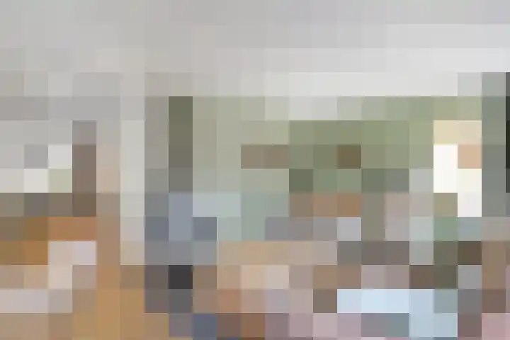 De Koningsvaren 100 Dedemsvaart thumbnail 9