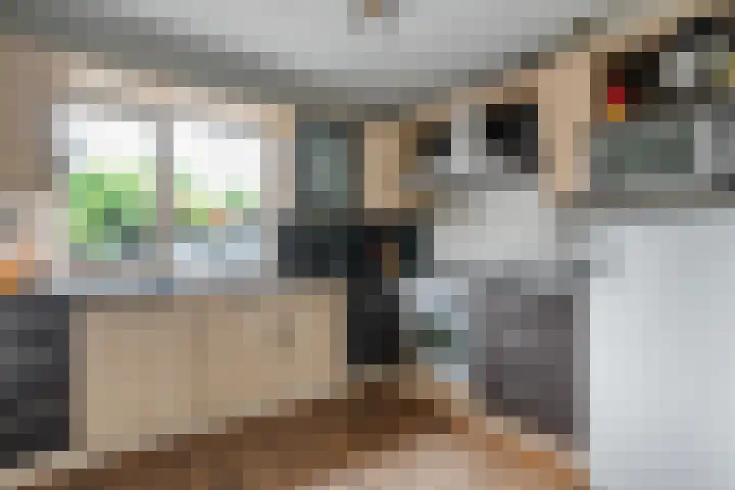 De Koningsvaren 71 Dedemsvaart thumbnail 11