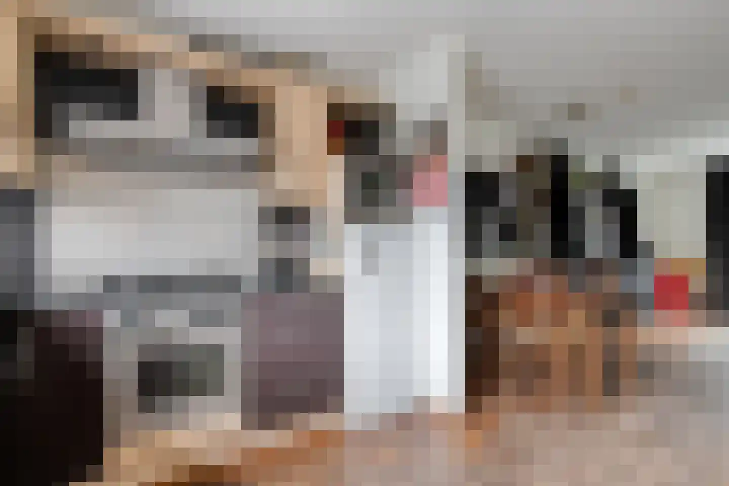 De Koningsvaren 71 Dedemsvaart thumbnail 13