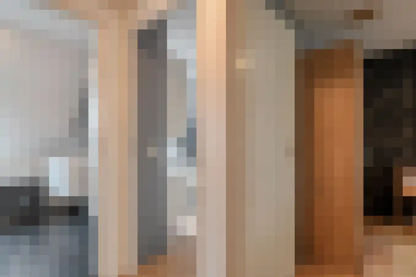 De Koningsvaren 71 Dedemsvaart thumbnail 18