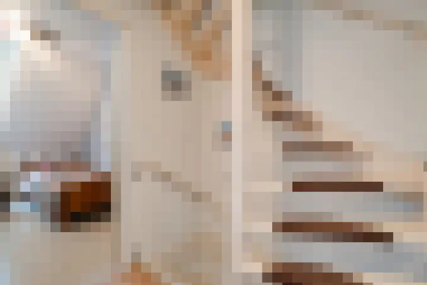 De Koningsvaren 71 Dedemsvaart thumbnail 19