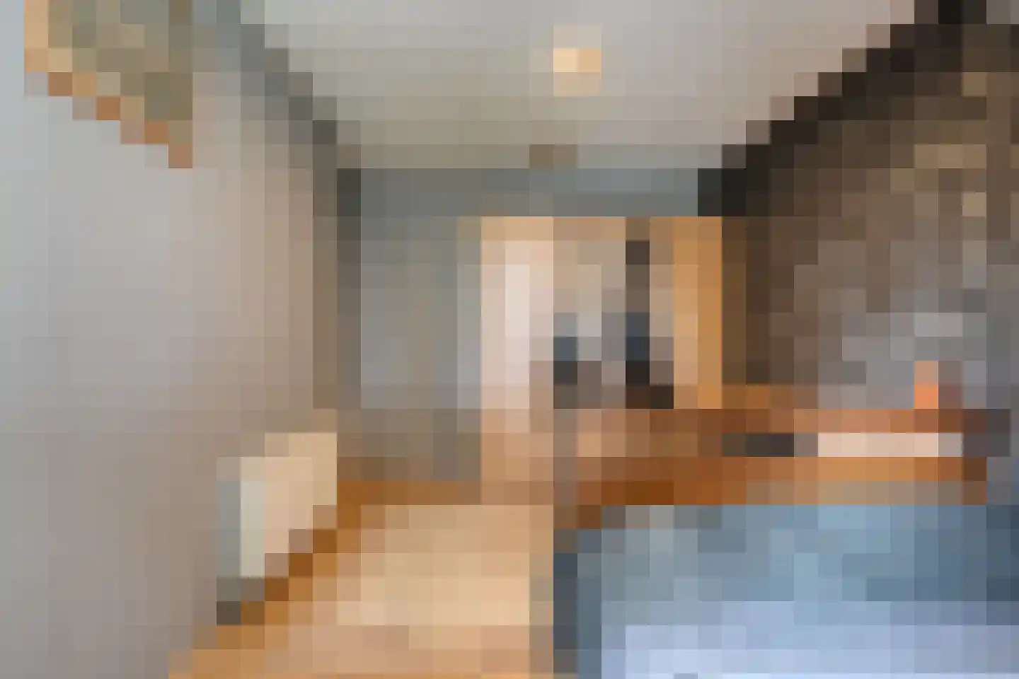 De Koningsvaren 71 Dedemsvaart thumbnail 23