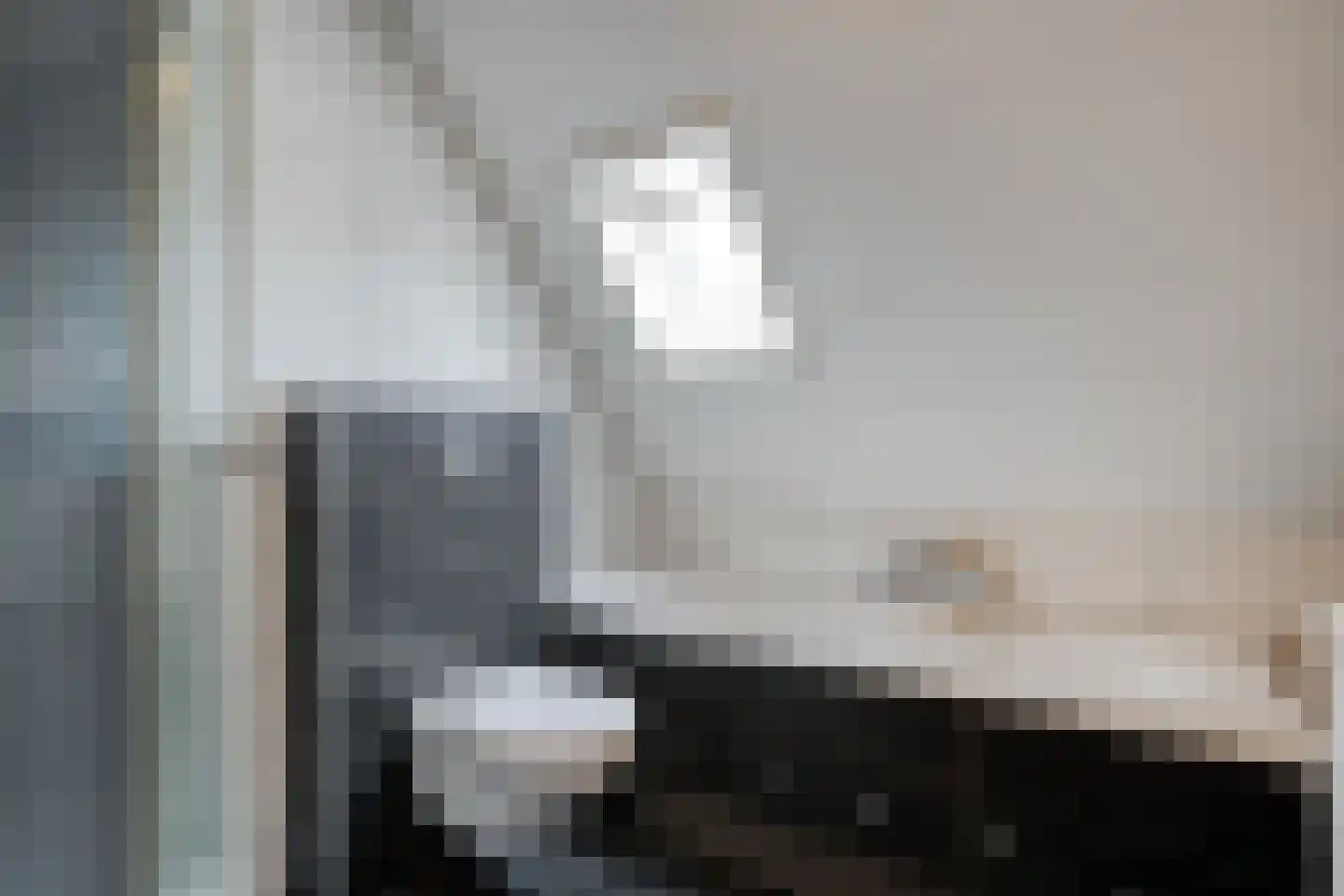 De Koningsvaren 71 Dedemsvaart thumbnail 24