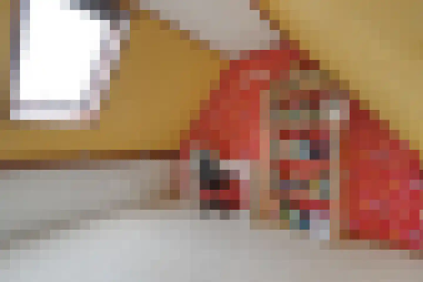 De Koningsvaren 71 Dedemsvaart thumbnail 27
