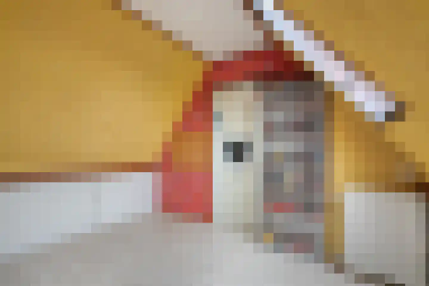De Koningsvaren 71 Dedemsvaart thumbnail 28