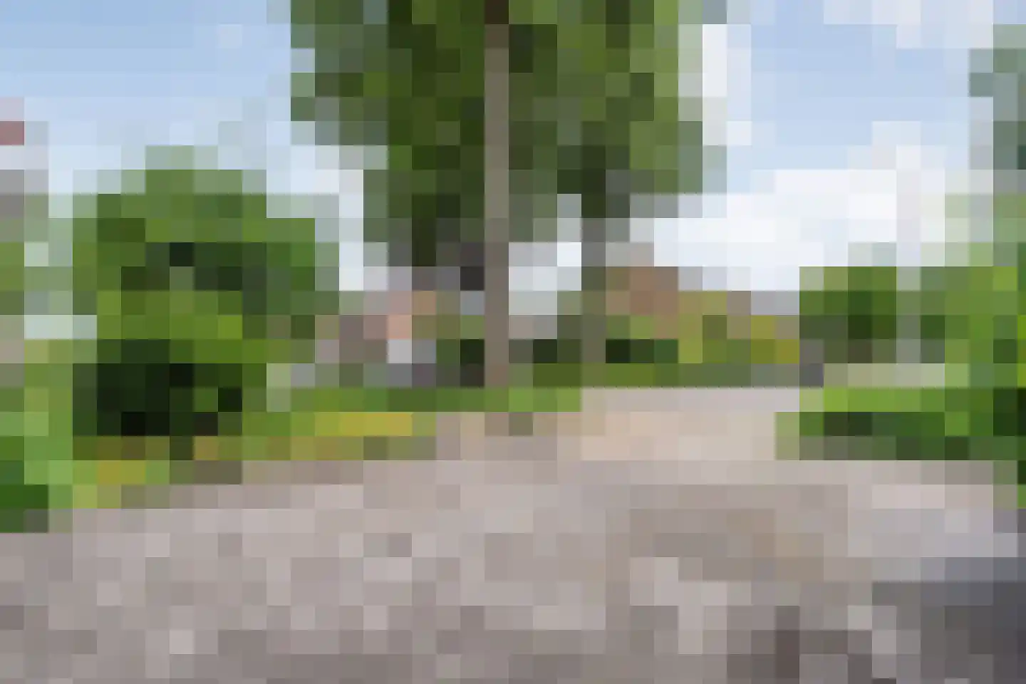 De Koningsvaren 71 Dedemsvaart foto 3