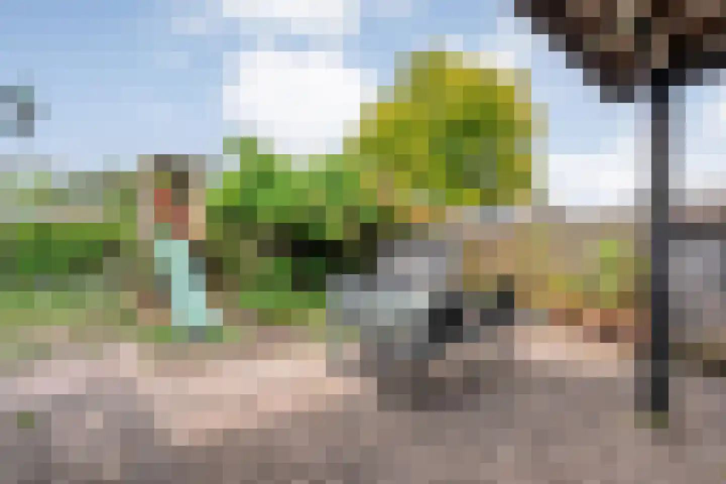 De Koningsvaren 71 Dedemsvaart thumbnail 30