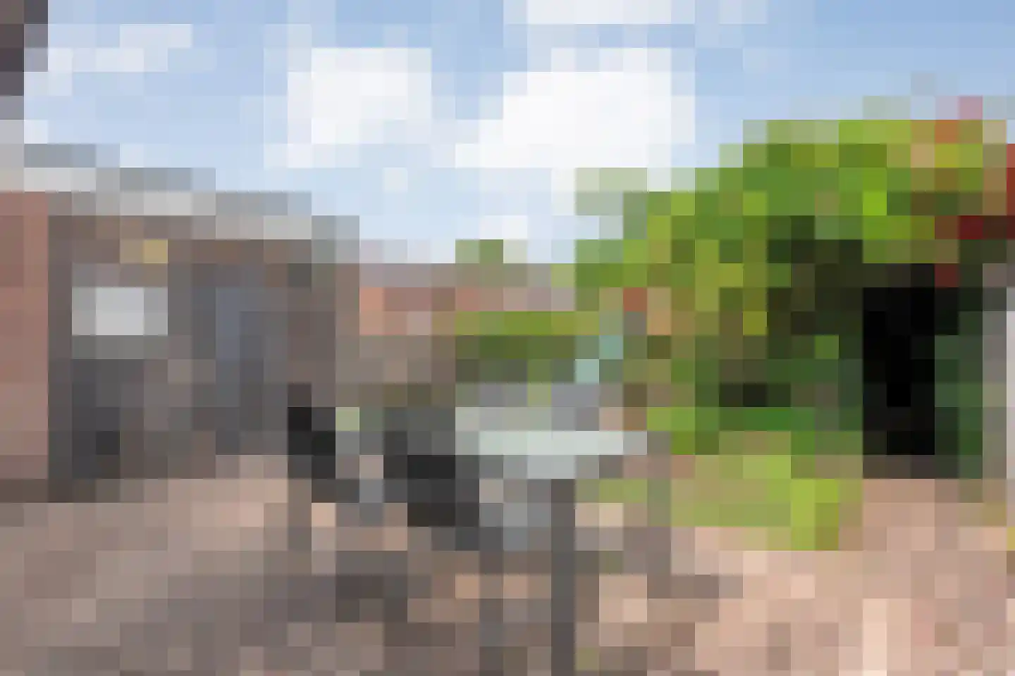 De Koningsvaren 71 Dedemsvaart thumbnail 31