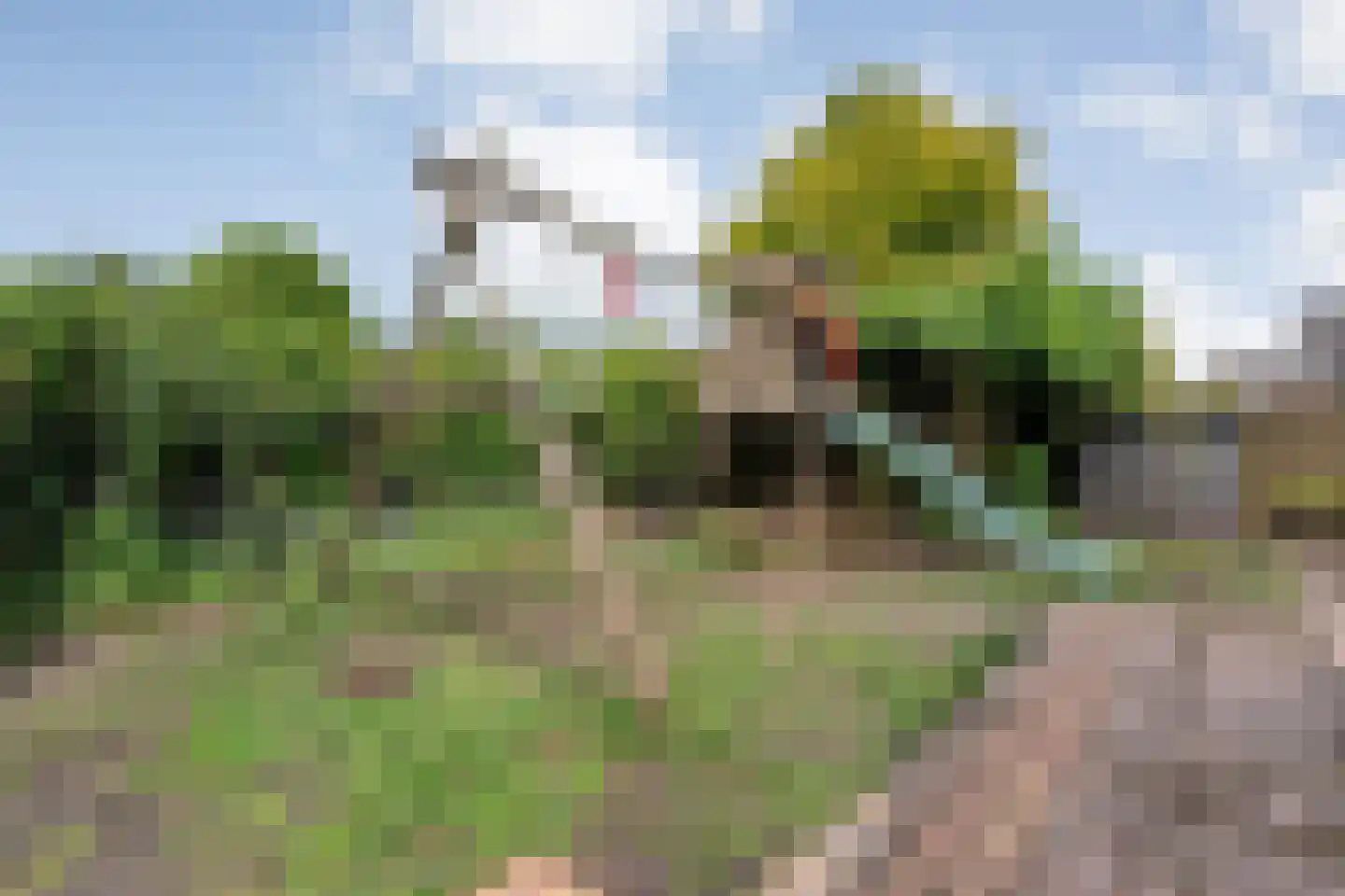 De Koningsvaren 71 Dedemsvaart thumbnail 32