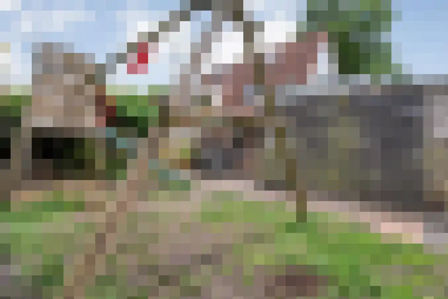 De Koningsvaren 71 Dedemsvaart thumbnail 33