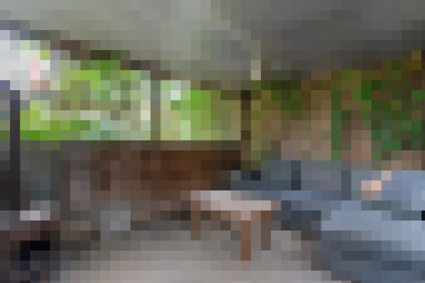 De Koningsvaren 71 Dedemsvaart thumbnail 35