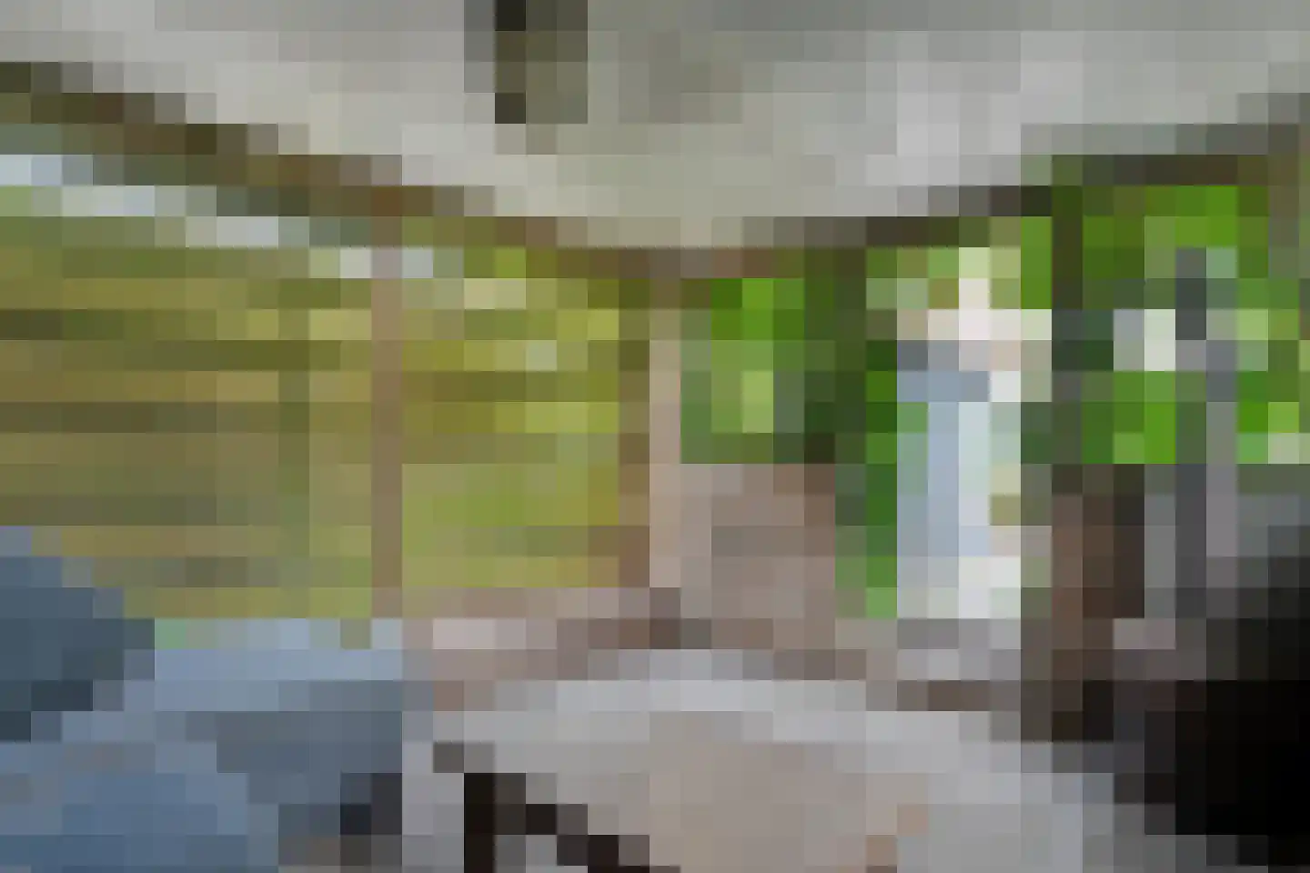 De Koningsvaren 71 Dedemsvaart thumbnail 36