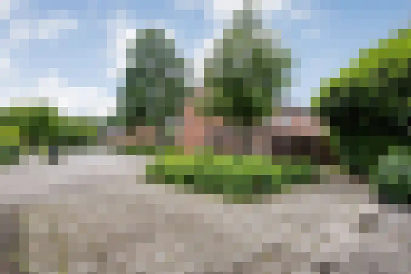 De Koningsvaren 71 Dedemsvaart thumbnail 4