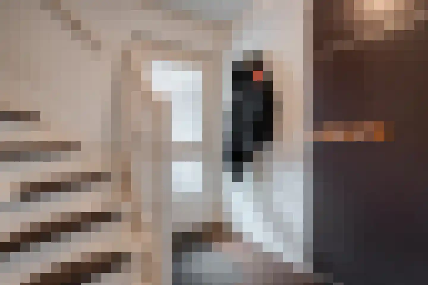 De Koningsvaren 71 Dedemsvaart thumbnail 5