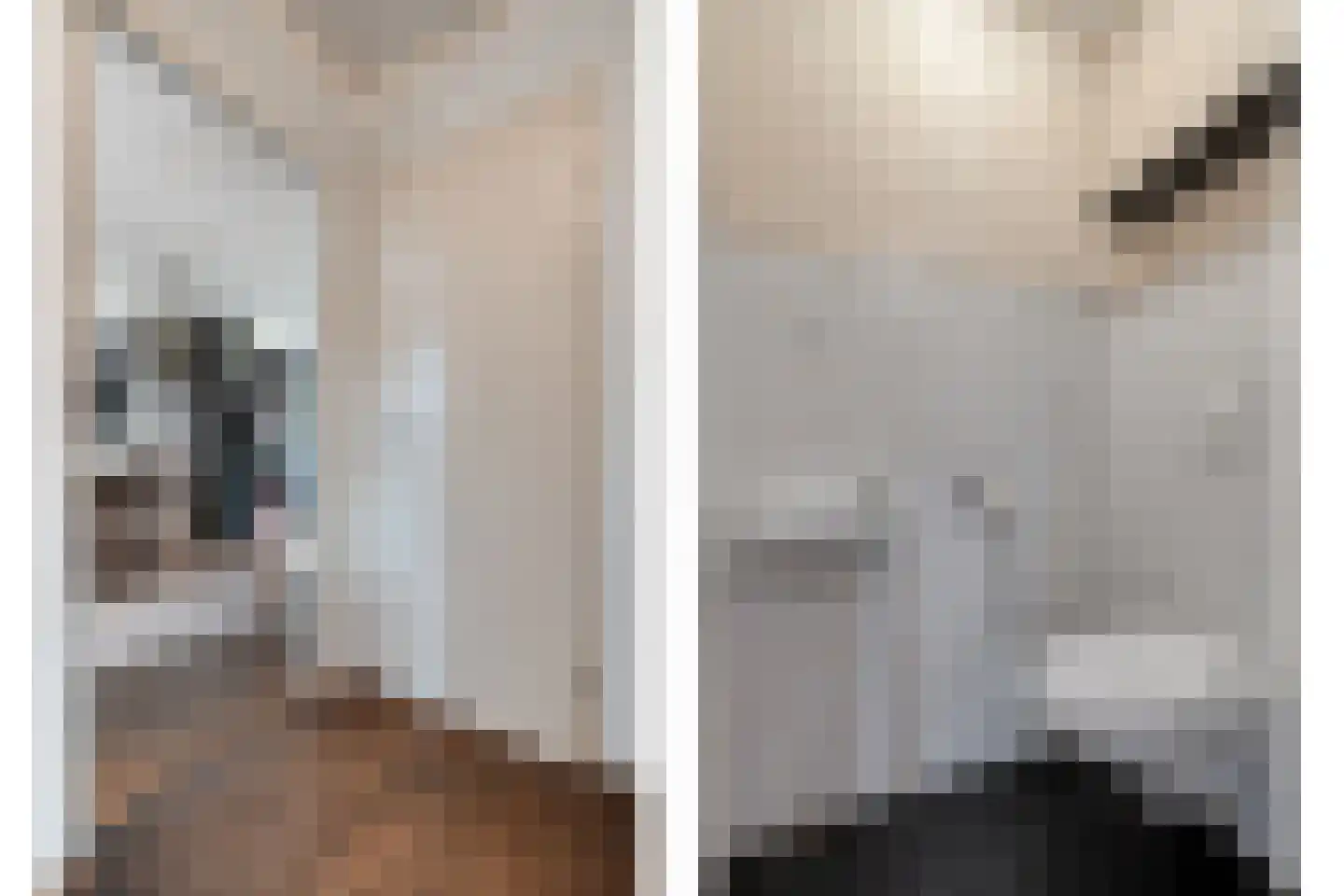 De Koningsvaren 71 Dedemsvaart thumbnail 6