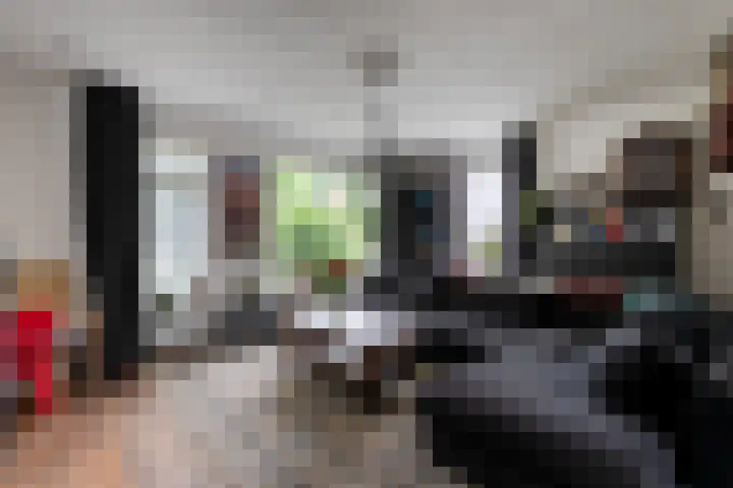 De Koningsvaren 71 Dedemsvaart thumbnail 7