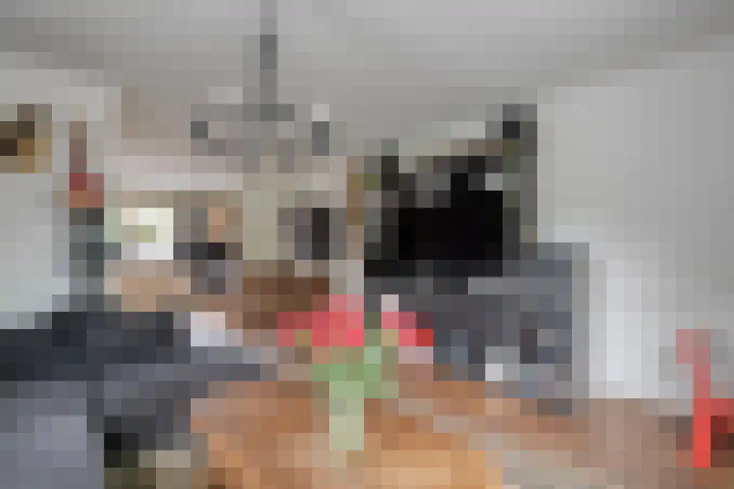 De Koningsvaren 71 Dedemsvaart thumbnail 9