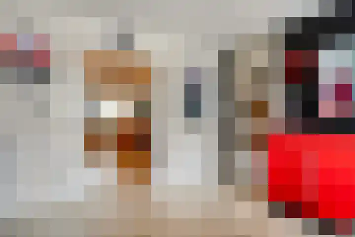 De Koningsvaren 82 Dedemsvaart thumbnail 10