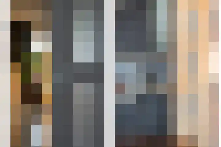 De Koningsvaren 82 Dedemsvaart thumbnail 16