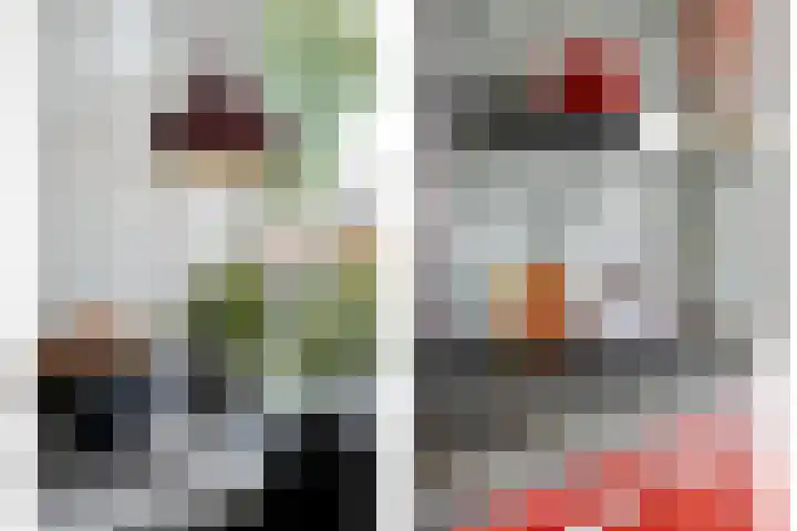 De Koningsvaren 82 Dedemsvaart thumbnail 17