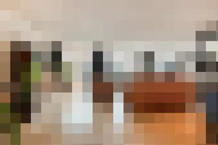 De Koningsvaren 82 Dedemsvaart thumbnail 18