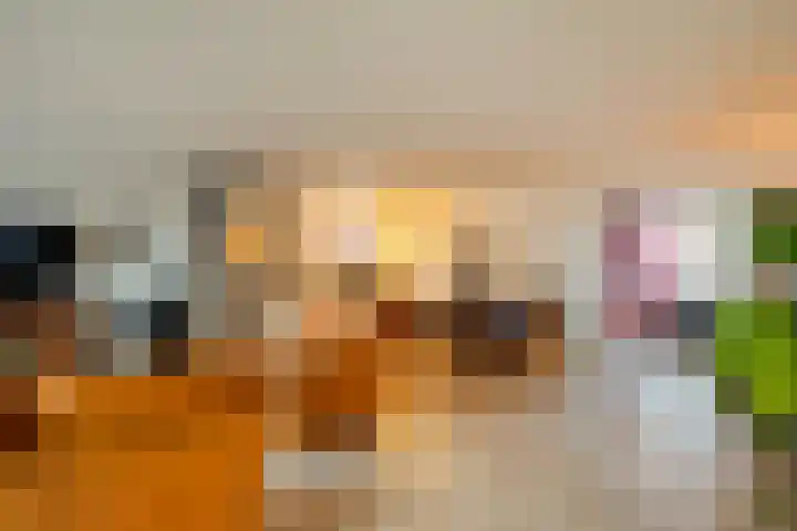 De Koningsvaren 82 Dedemsvaart thumbnail 20